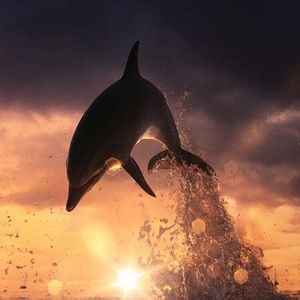 Meet your Posher, Priscilla